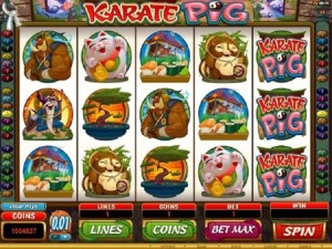 Karate-Pig