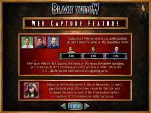 Black-Widow-web-capture