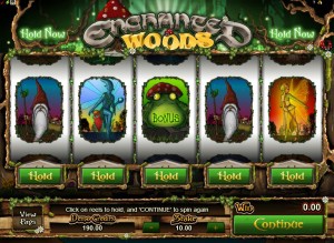 Enchanted-Woods