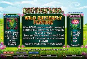 Butterflies-wild
