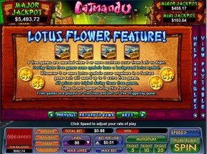 Catmandu-lotus-flower
