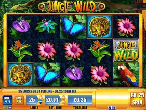Jungle-Wild