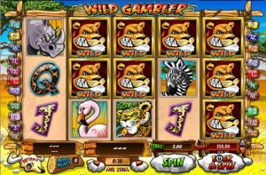 Wild-Gambler