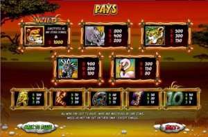 Wild-Gambler-paytable